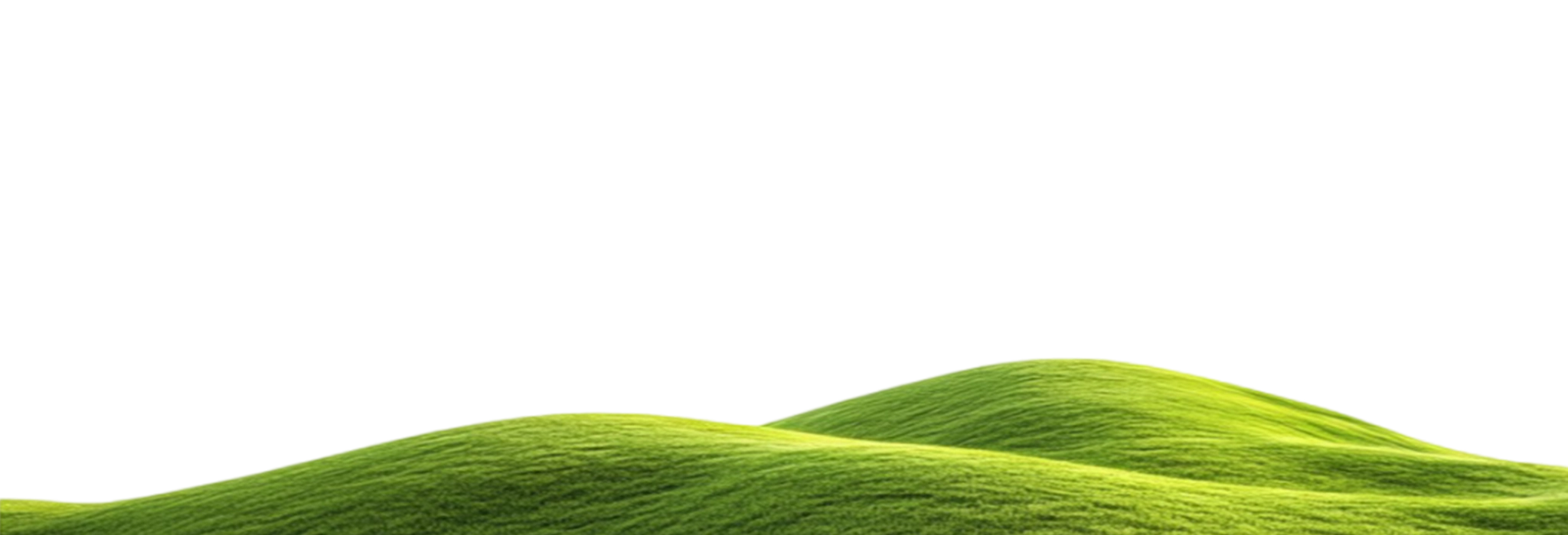 mount