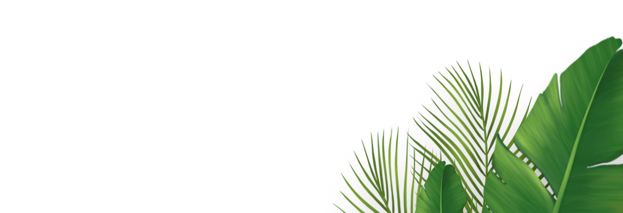 right leaf